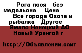 Рога лося , без медальона. › Цена ­ 15 000 - Все города Охота и рыбалка » Другое   . Ямало-Ненецкий АО,Новый Уренгой г.